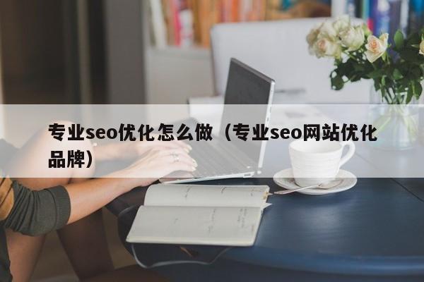 专业seo优化怎么做（专业seo网站优化品牌）