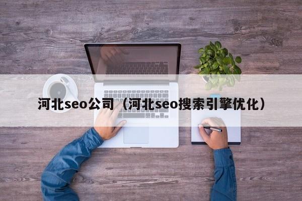 河北seo公司（河北seo搜索引擎优化）