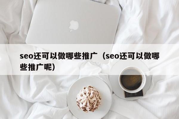 seo还可以做哪些推广（seo还可以做哪些推广呢）