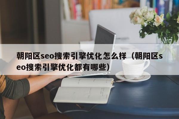 朝阳区seo搜索引擎优化怎么样（朝阳区seo搜索引擎优化都有哪些）