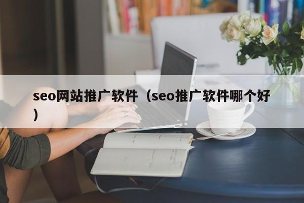 seo网站推广软件（seo推广软件哪个好）