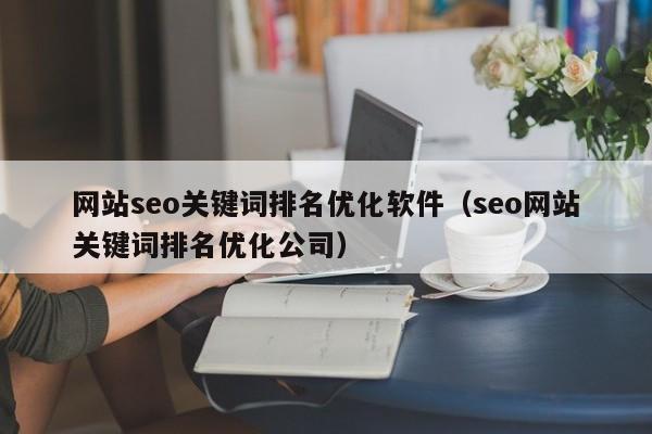 网站seo关键词排名优化软件（seo网站关键词排名优化公司）