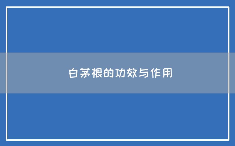 白茅根的功效与作用