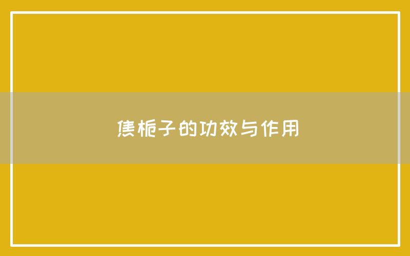 焦栀子的功效与作用