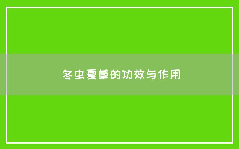 冬虫夏草的功效与作用