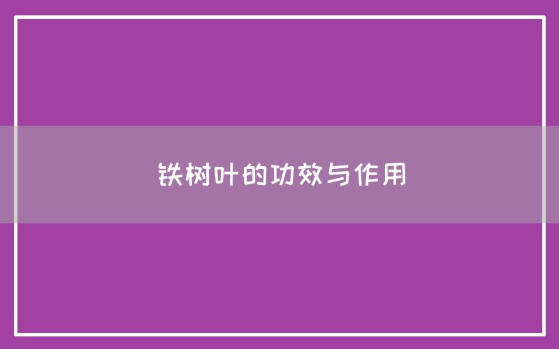 铁树叶的功效与作用