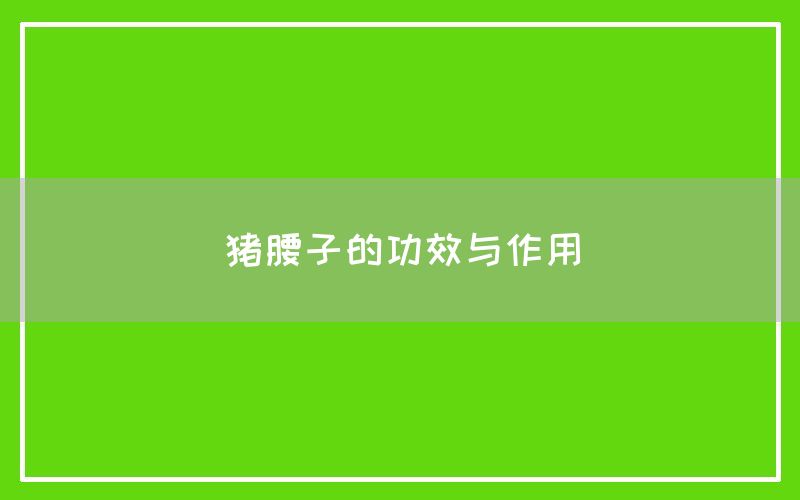 猪腰子的功效与作用