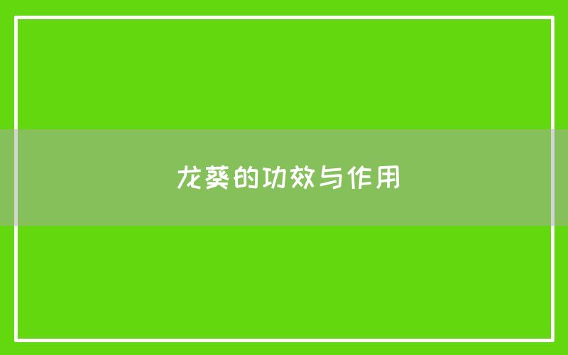 龙葵的功效与作用