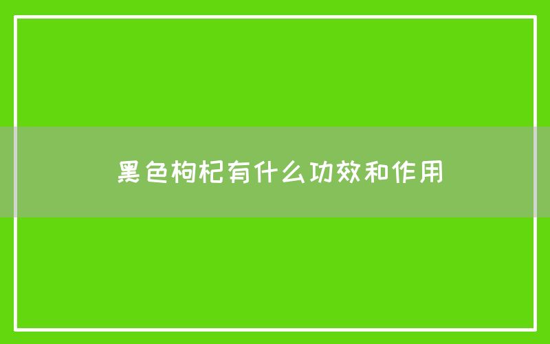 黑色枸杞有什么功效和作用