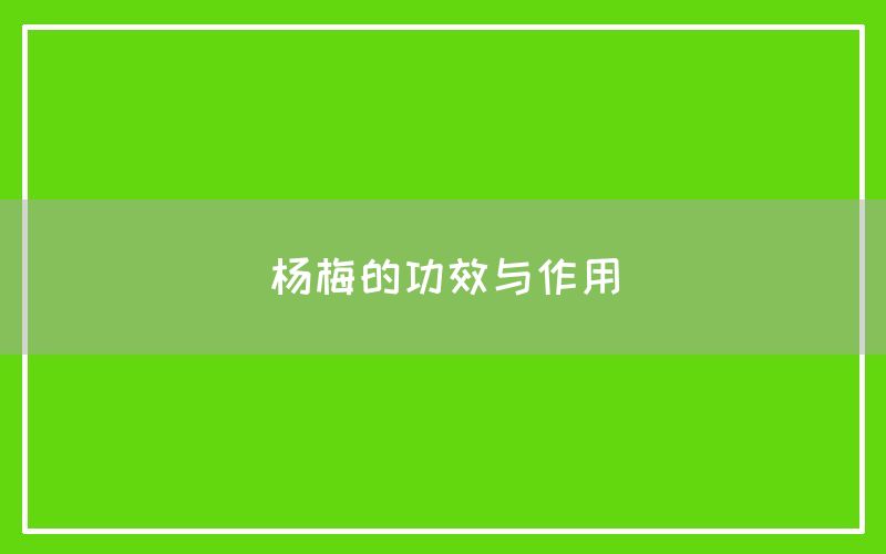 杨梅的功效与作用