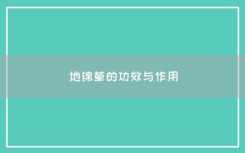 地锦草的功效与作用