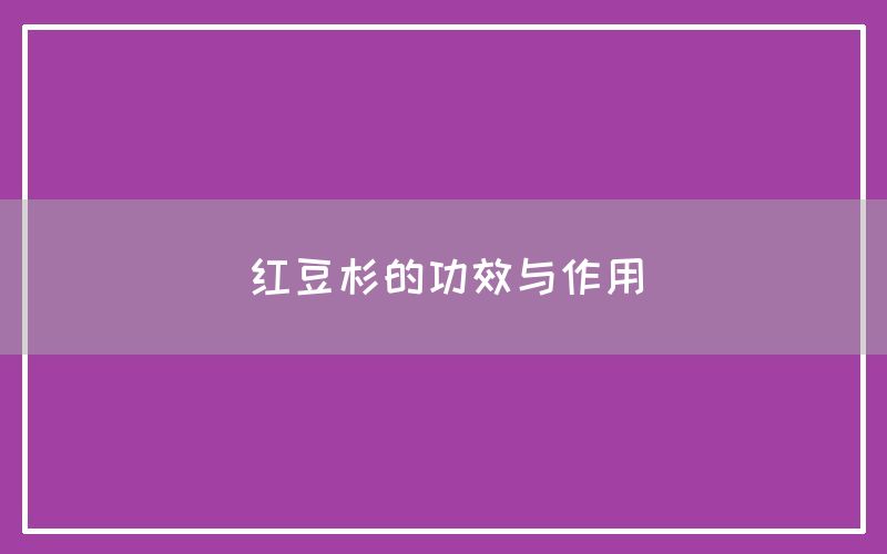 红豆杉的功效与作用