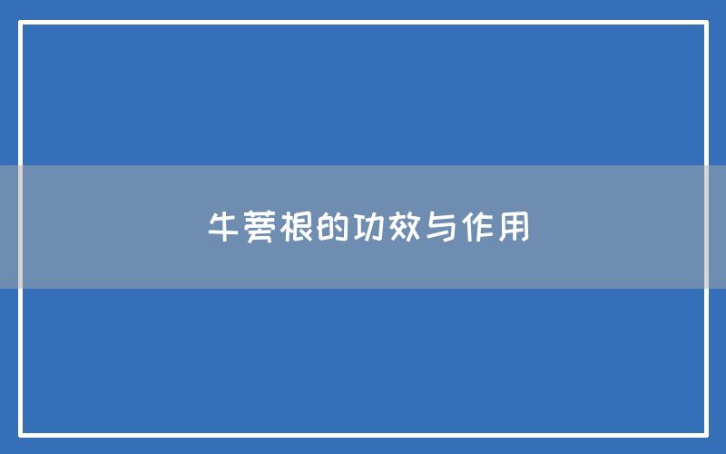 牛蒡根的功效与作用