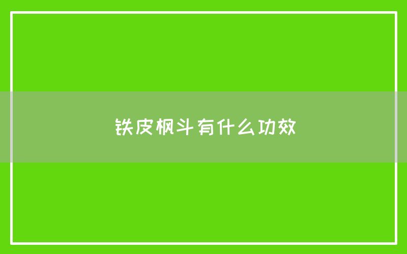 铁皮枫斗有什么功效和作用