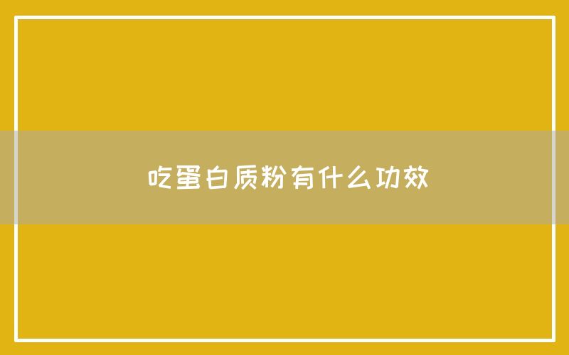 蛋白质粉有什么功效和作用