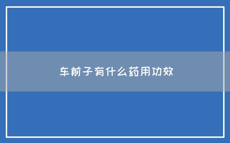 车前子有什么药用功效和作用