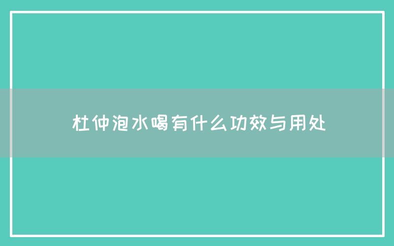 杜仲泡水喝有什么功效与用处