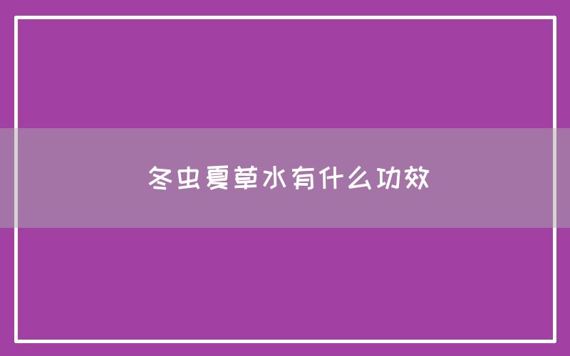 冬虫夏草泡水有什么功效和作用