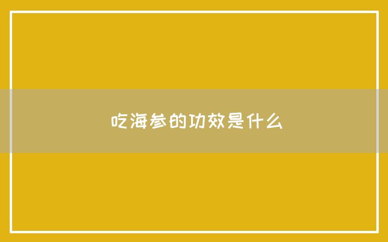 海参的功效和作用是什么