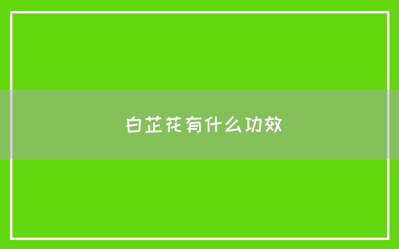 白芷花有什么功效和作用