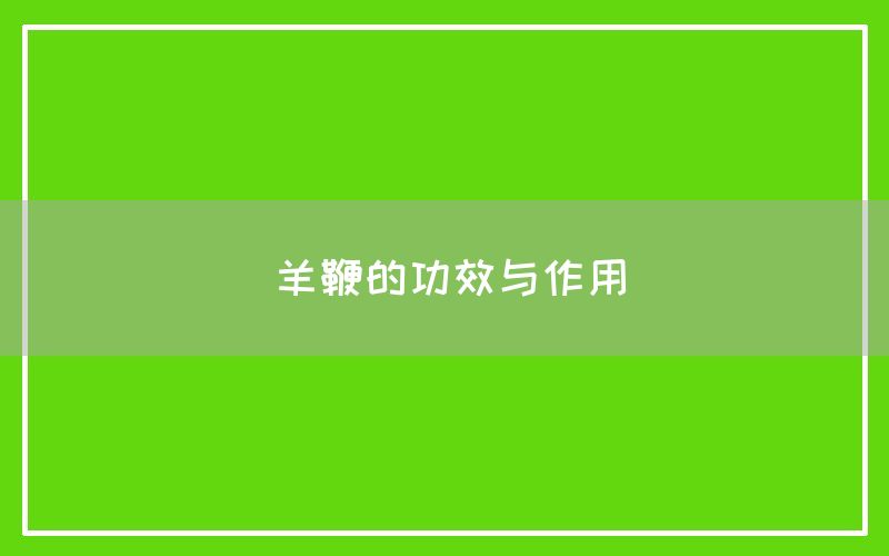 羊鞭的功效与作用