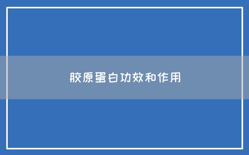 胶原蛋白功效和作用