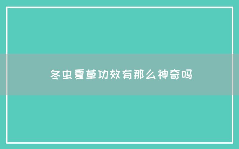 冬虫夏草功效有那么神奇吗