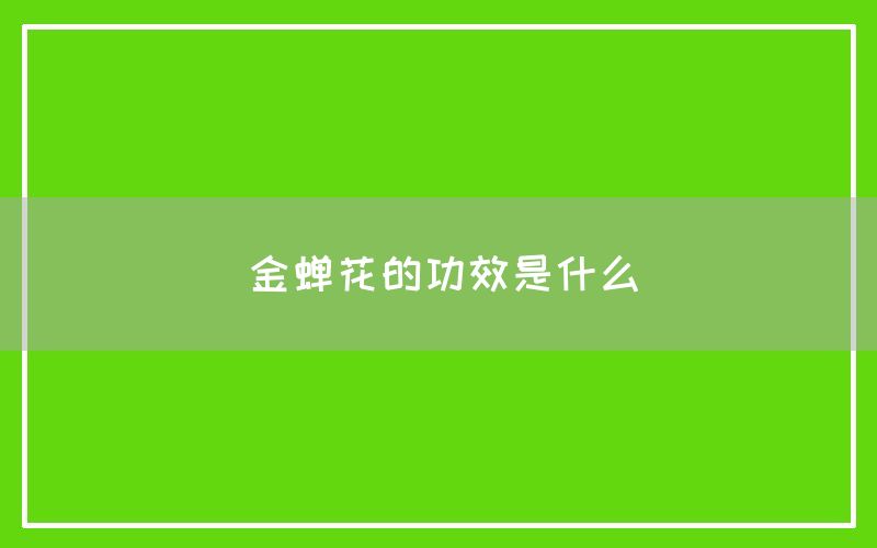 金蝉花,金蝉花的功效和作用是什么