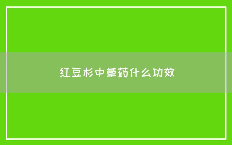 红豆杉中草药什么功效和作用