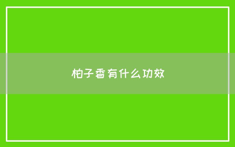 柏子香有什么功效与作用