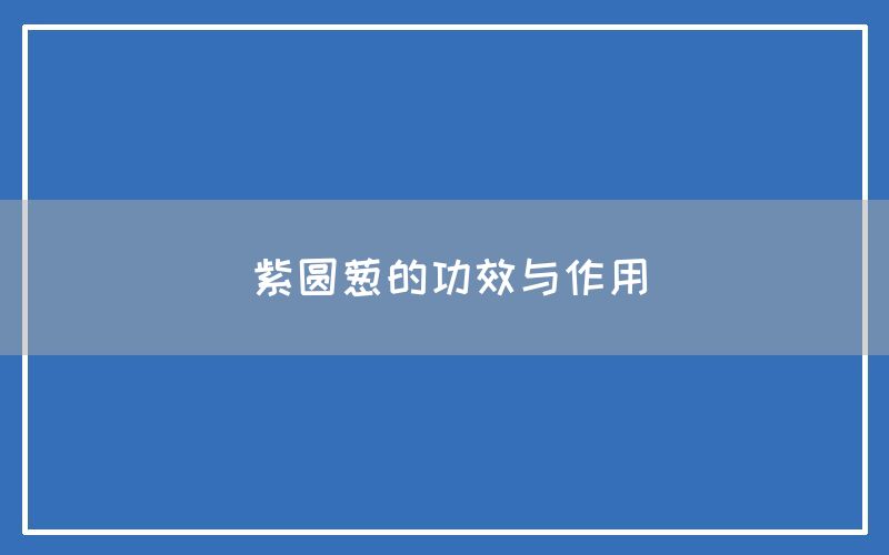 紫圆葱的功效与作用