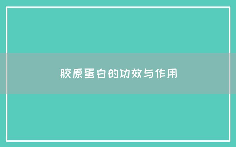 胶原蛋白的功效与作用