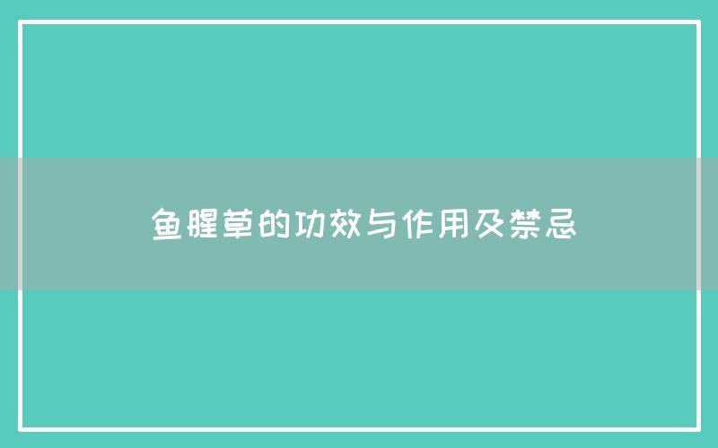 鱼腥草的功效与作用及禁忌