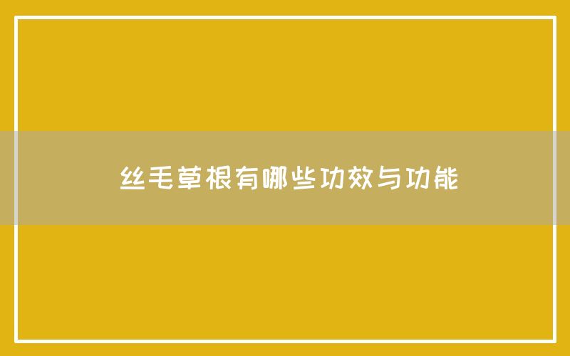 丝毛草根有哪些功效与功能