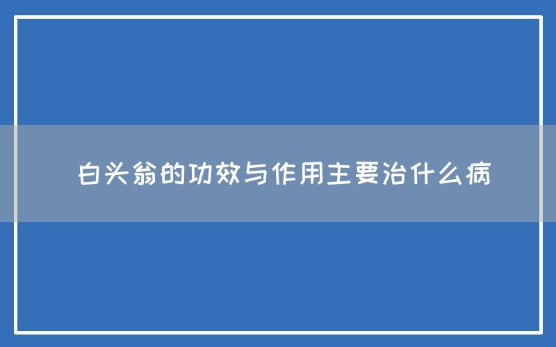 白头翁的功效与作用（白头翁主要治什么病）