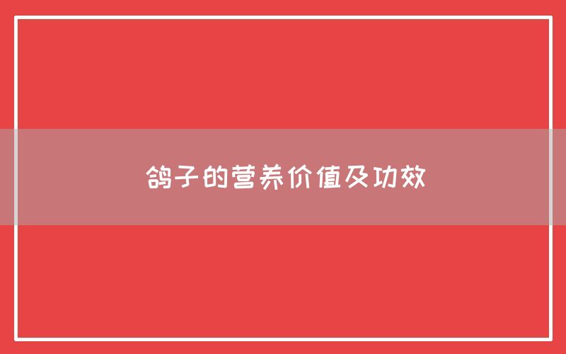 鸽子的营养价值及功效