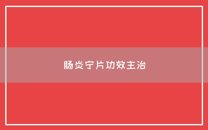 肠炎宁片的功效主治与作用