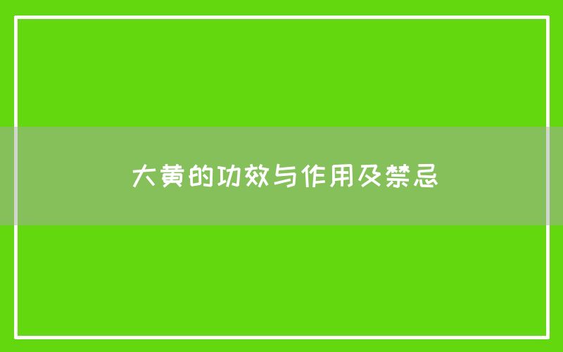 大黄的功效与作用及禁忌