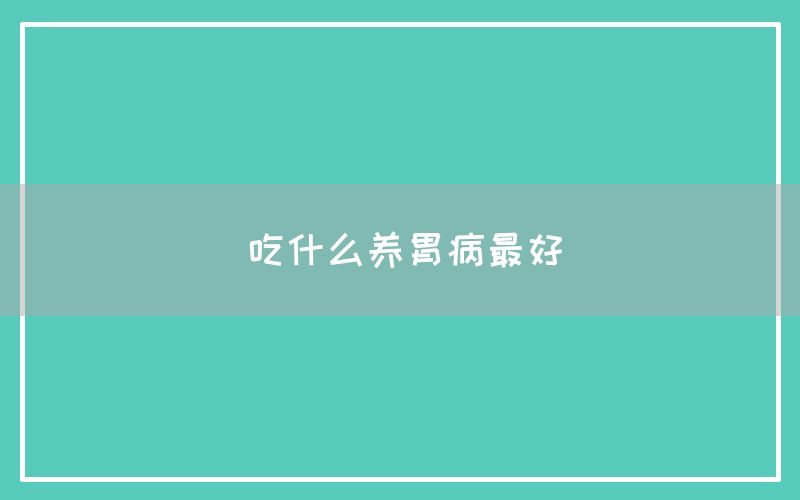 吃什么养胃病最好