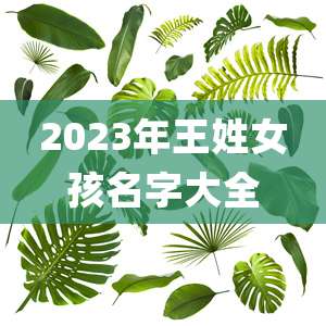 2023年王姓女孩名字大全