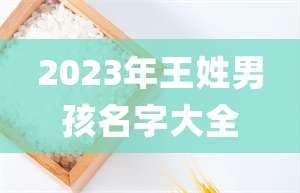 2023年王姓男孩名字大全