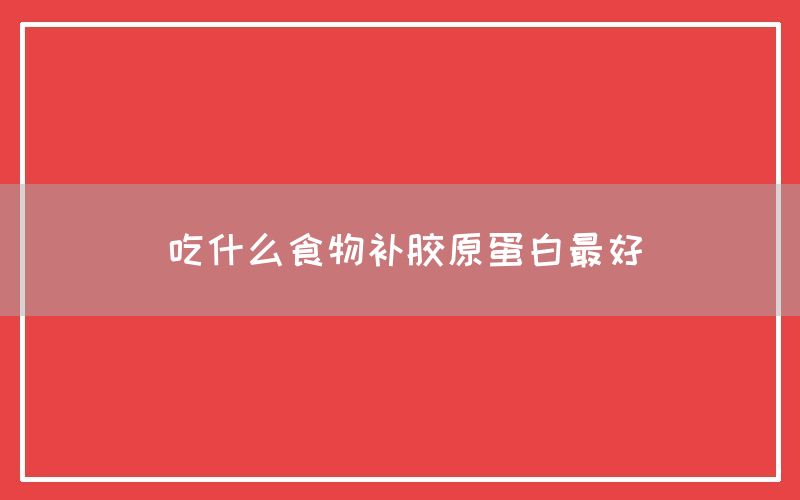 吃什么食物补胶原蛋白最好