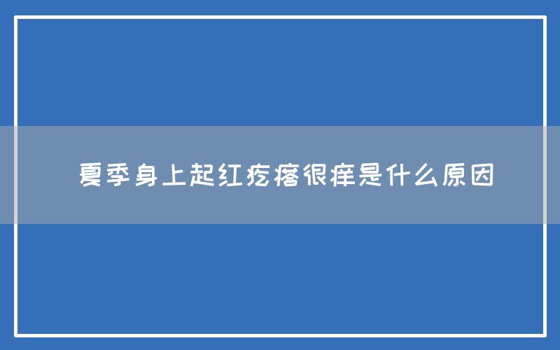 夏季身上起红疙瘩很痒是什么原因(图1)