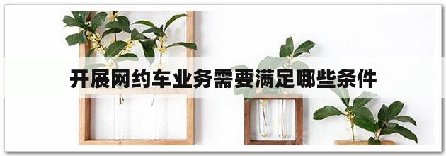 开展网约车业务需要满足哪些条件