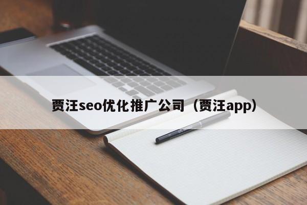 贾汪seo优化推广公司（贾汪app推广）