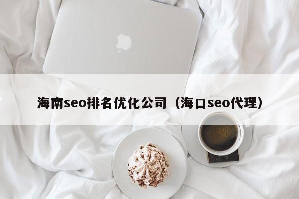 海南seo排名优化公司（海口seo代理）