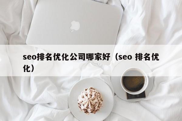 seo排名优化公司哪家好（seo 排名优化）