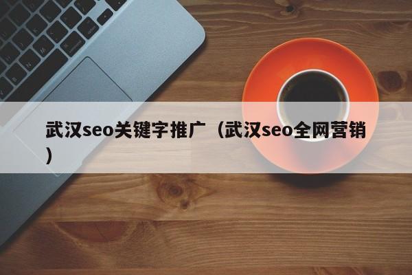 武汉seo关键字推广（武汉seo全网营销）